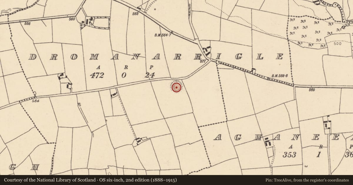 Ordnance Survey six-inch map, 2nd edition (1888–1915) covering the location of Ringfort - rath, Dromanarrigle, County Cork, with a pin at the register's coordinates