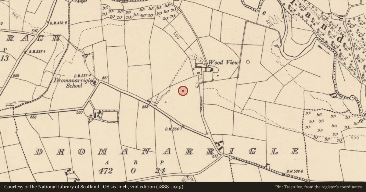 Ordnance Survey six-inch map, 2nd edition (1888–1915) covering the location of Fulacht fia, Dromanarrigle, County Cork, with a pin at the register's coordinates