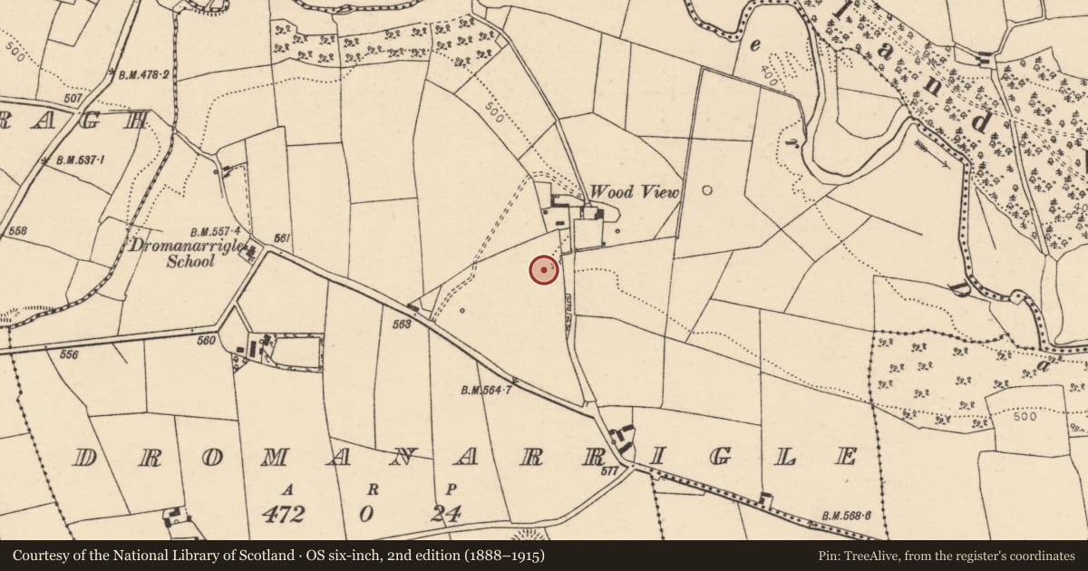 Ordnance Survey six-inch map, 2nd edition (1888–1915) covering the location of Fulacht fia, Dromanarrigle, County Cork, with a pin at the register's coordinates