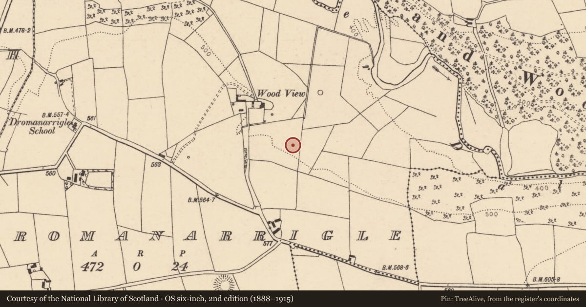 Ordnance Survey six-inch map, 2nd edition (1888–1915) covering the location of Fulacht fia, Dromanarrigle, County Cork, with a pin at the register's coordinates