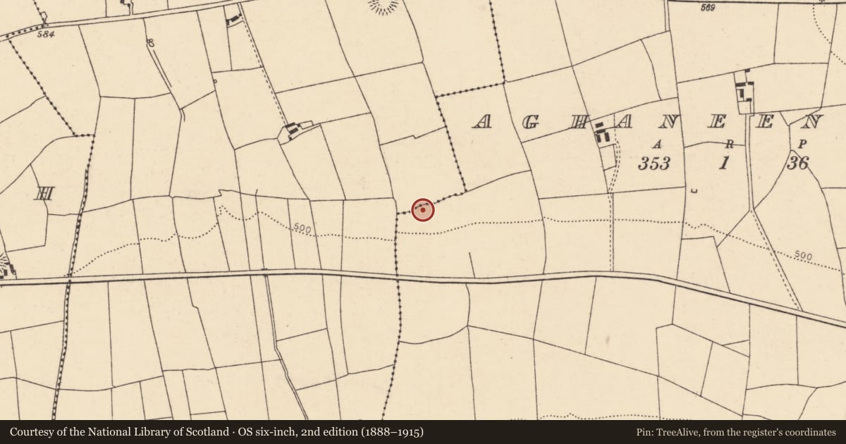 Ordnance Survey six-inch map, 2nd edition (1888–1915) covering the location of Ringfort - rath, Aghaneenagh, County Cork, with a pin at the register's coordinates