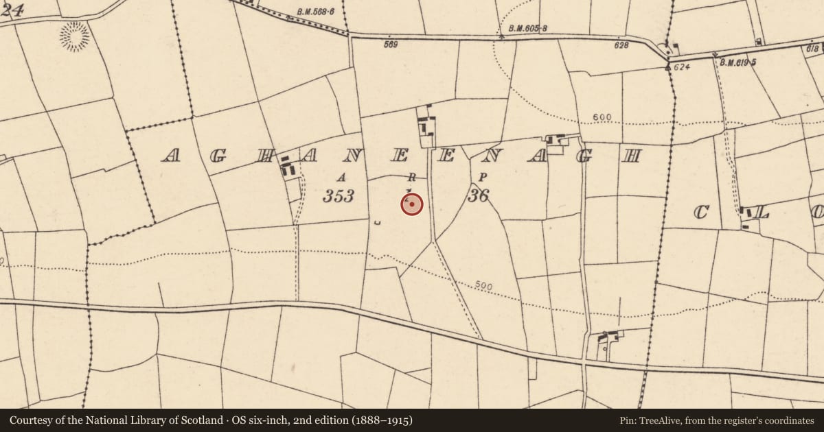 Ordnance Survey six-inch map, 2nd edition (1888–1915) covering the location of Ringfort - rath, Aghaneenagh, County Cork, with a pin at the register's coordinates