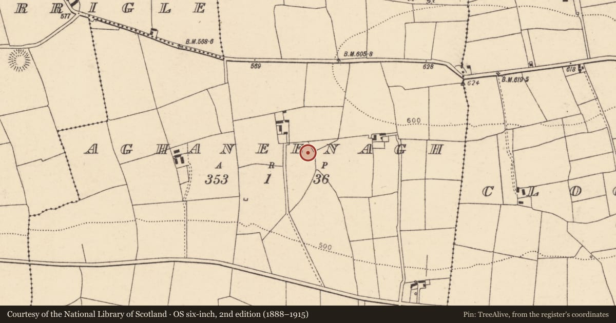 Ordnance Survey six-inch map, 2nd edition (1888–1915) covering the location of Fulacht fia, Aghaneenagh, County Cork, with a pin at the register's coordinates