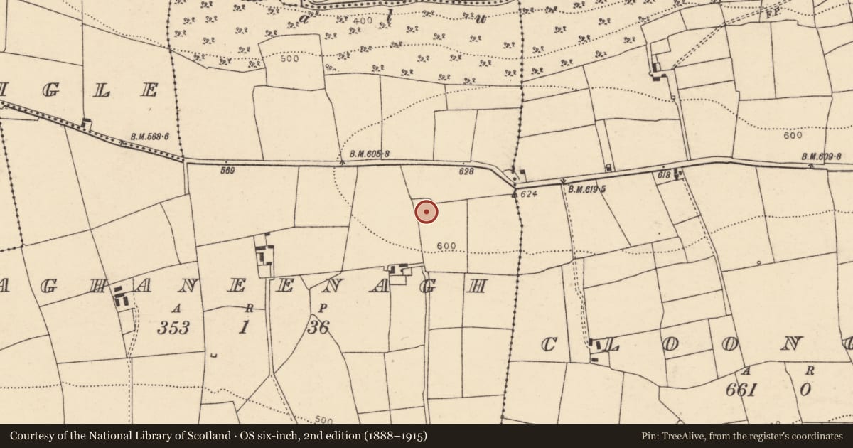Ordnance Survey six-inch map, 2nd edition (1888–1915) covering the location of Church, Aghaneenagh, County Cork, with a pin at the register's coordinates