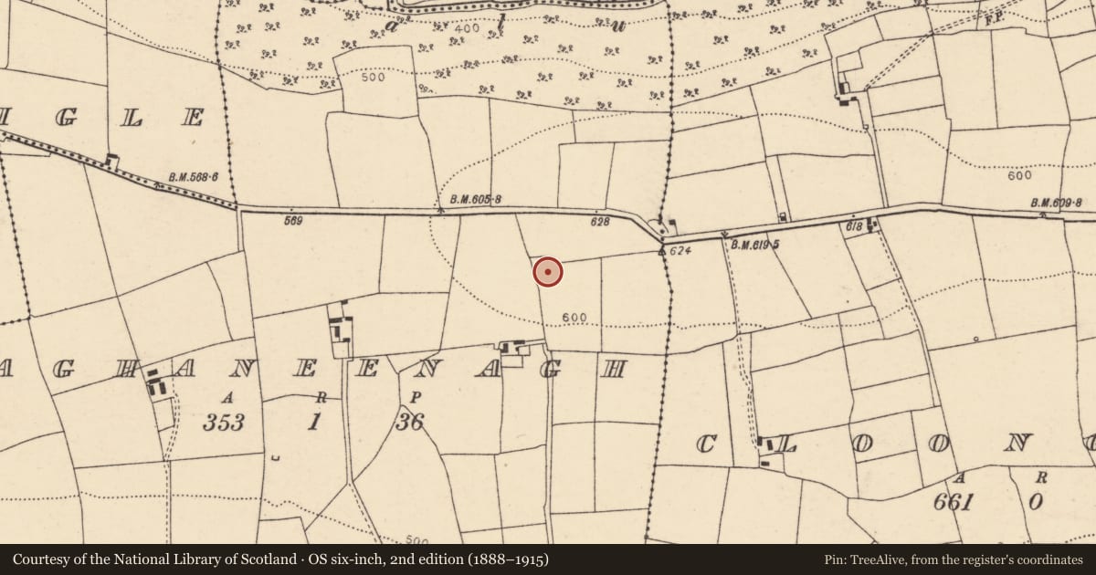 Ordnance Survey six-inch map, 2nd edition (1888–1915) covering the location of Ringfort - rath, Aghaneenagh, County Cork, with a pin at the register's coordinates