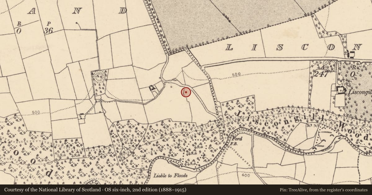 Ordnance Survey six-inch map, 2nd edition (1888–1915) covering the location of Fulacht fia, Island, County Cork, with a pin at the register's coordinates