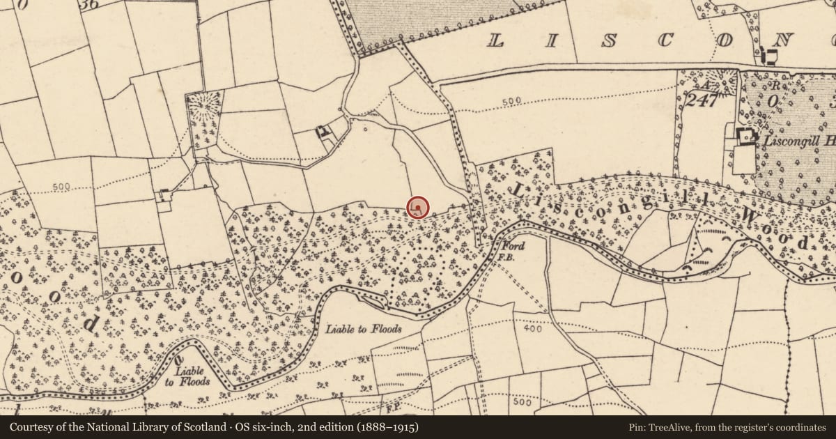 Ordnance Survey six-inch map, 2nd edition (1888–1915) covering the location of Fulacht fia, Island, County Cork, with a pin at the register's coordinates