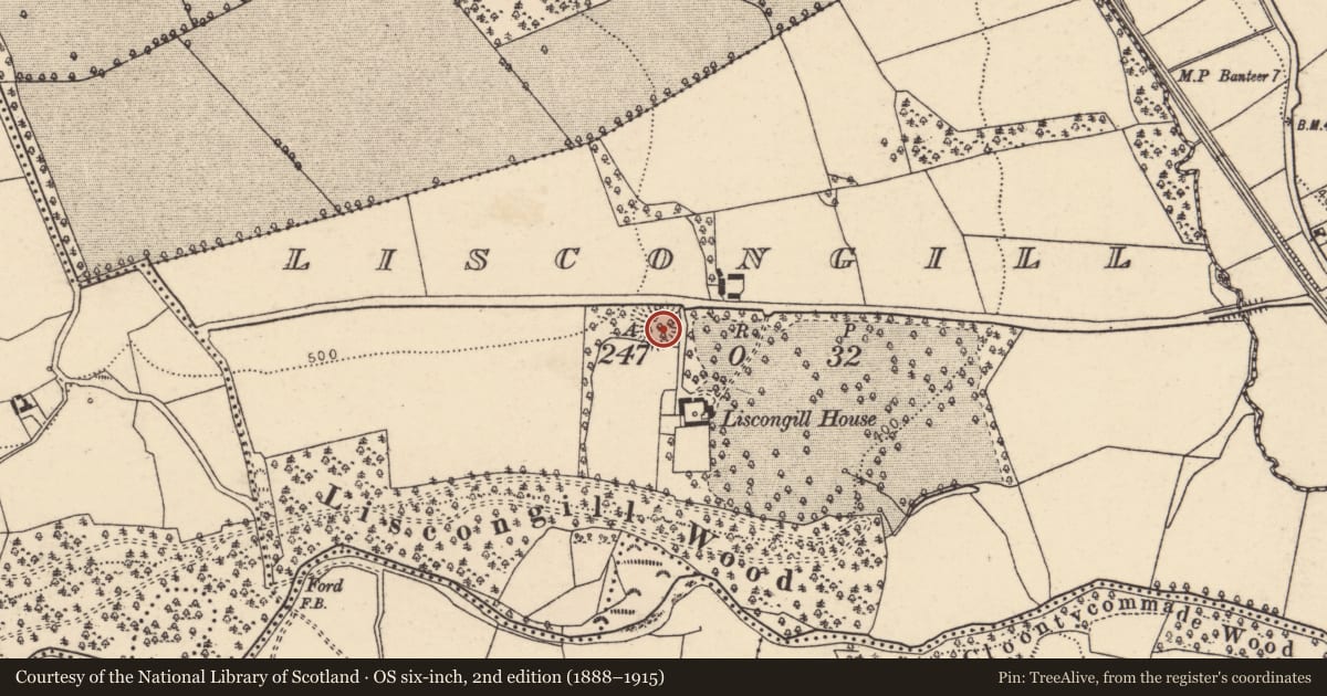 Ordnance Survey six-inch map, 2nd edition (1888–1915) covering the location of Ringfort - rath, Liscongill, County Cork, with a pin at the register's coordinates