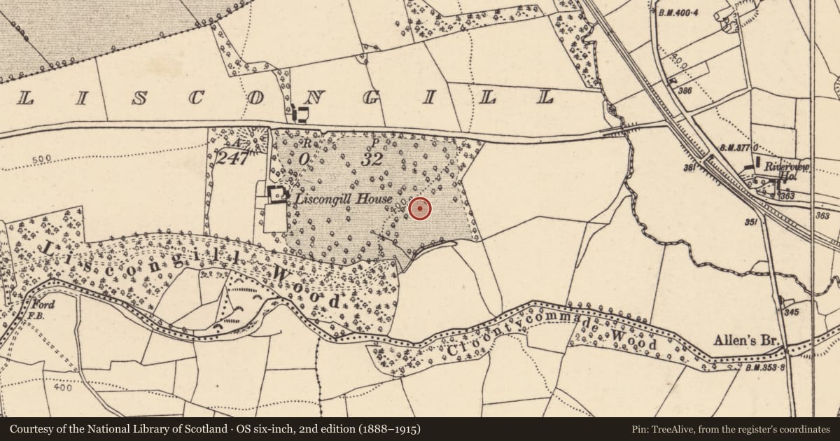 Ordnance Survey six-inch map, 2nd edition (1888–1915) covering the location of Fulacht fia, Liscongill, County Cork, with a pin at the register's coordinates