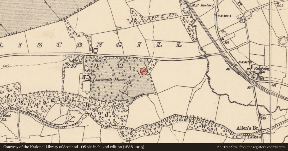 Ordnance Survey six-inch map, 2nd edition (1888–1915) covering the location of Fulacht fia, Liscongill, County Cork, with a pin at the register's coordinates