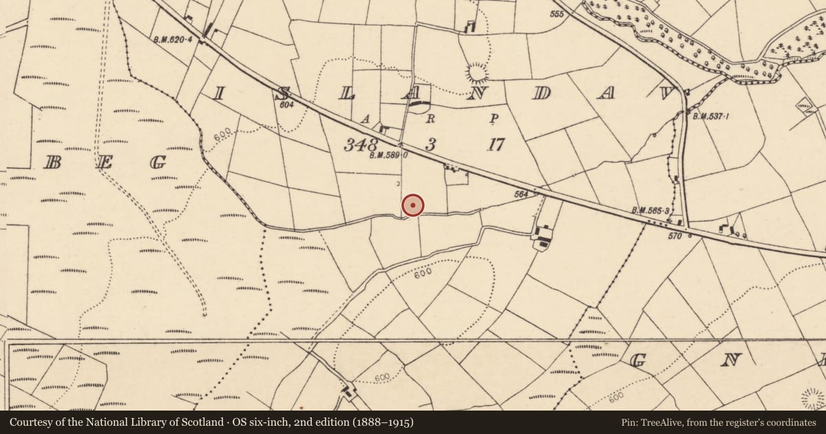Ordnance Survey six-inch map, 2nd edition (1888–1915) covering the location of Fulacht fia, Islandav, County Cork, with a pin at the register's coordinates