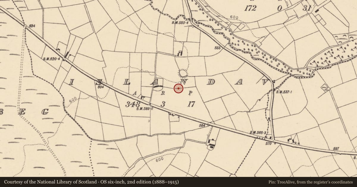 Ordnance Survey six-inch map, 2nd edition (1888–1915) covering the location of Standing stone, Islandav, County Cork, with a pin at the register's coordinates