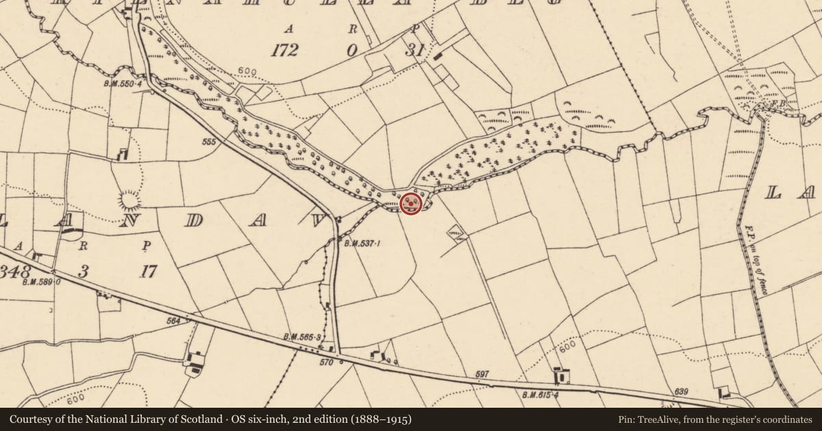 Ordnance Survey six-inch map, 2nd edition (1888–1915) covering the location of Fulacht fia, Kilnahulla Beg, County Cork, with a pin at the register's coordinates