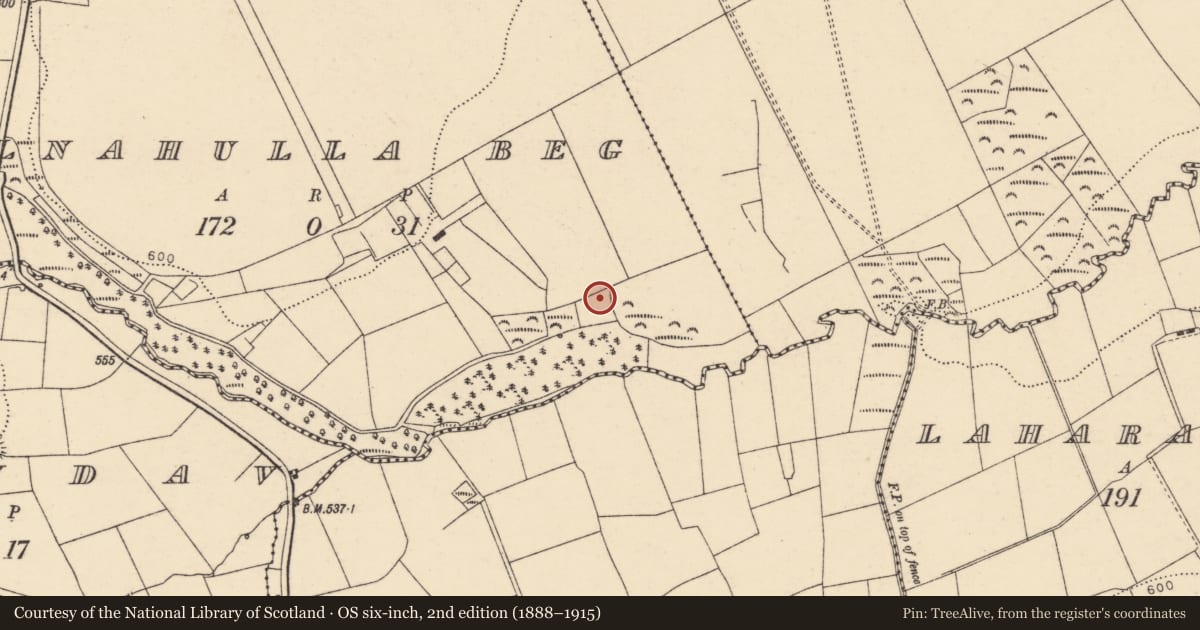 Ordnance Survey six-inch map, 2nd edition (1888–1915) covering the location of Fulacht fia, Kilnahulla Beg, County Cork, with a pin at the register's coordinates