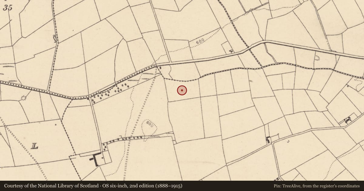 Ordnance Survey six-inch map, 2nd edition (1888–1915) covering the location of Fulacht fia, Kilnahulla More, County Cork, with a pin at the register's coordinates
