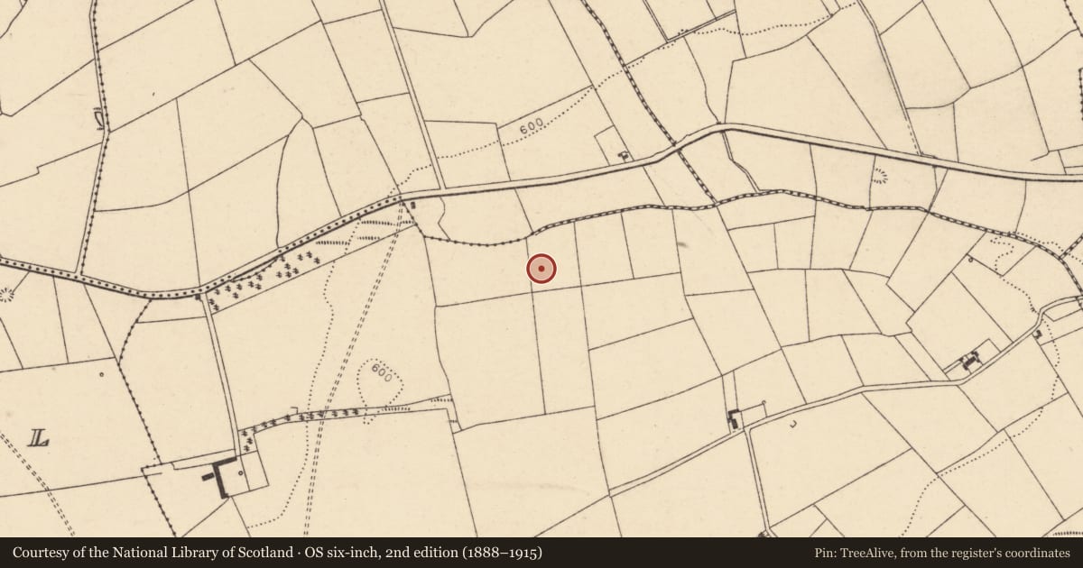 Ordnance Survey six-inch map, 2nd edition (1888–1915) covering the location of Fulacht fia, Kilnahulla More, County Cork, with a pin at the register's coordinates