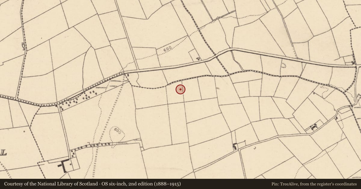 Ordnance Survey six-inch map, 2nd edition (1888–1915) covering the location of Fulacht fia, Kilnahulla More, County Cork, with a pin at the register's coordinates