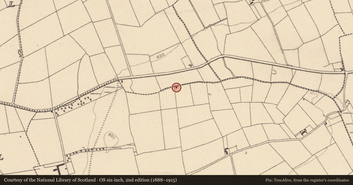 Ordnance Survey six-inch map, 2nd edition (1888–1915) covering the location of Fulacht fia, Kilnahulla More, County Cork, with a pin at the register's coordinates