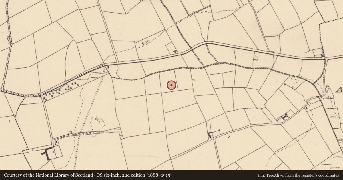Ordnance Survey six-inch map, 2nd edition (1888–1915) covering the location of Fulacht fia, Kilnahulla More, County Cork, with a pin at the register's coordinates