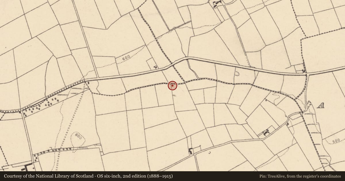 Ordnance Survey six-inch map, 2nd edition (1888–1915) covering the location of Enclosure, Kilnahulla More, County Cork, with a pin at the register's coordinates
