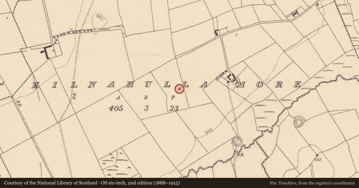 Ordnance Survey six-inch map, 2nd edition (1888–1915) covering the location of Ringfort - rath, Kilnahulla More, County Cork, with a pin at the register's coordinates