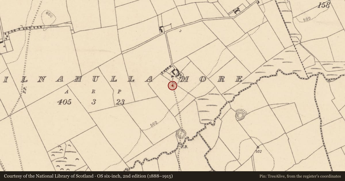 Ordnance Survey six-inch map, 2nd edition (1888–1915) covering the location of Ringfort - rath, Kilnahulla More, County Cork, with a pin at the register's coordinates