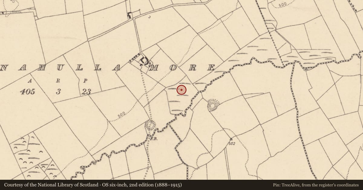 Ordnance Survey six-inch map, 2nd edition (1888–1915) covering the location of Fulacht fia, Kilnahulla More, County Cork, with a pin at the register's coordinates