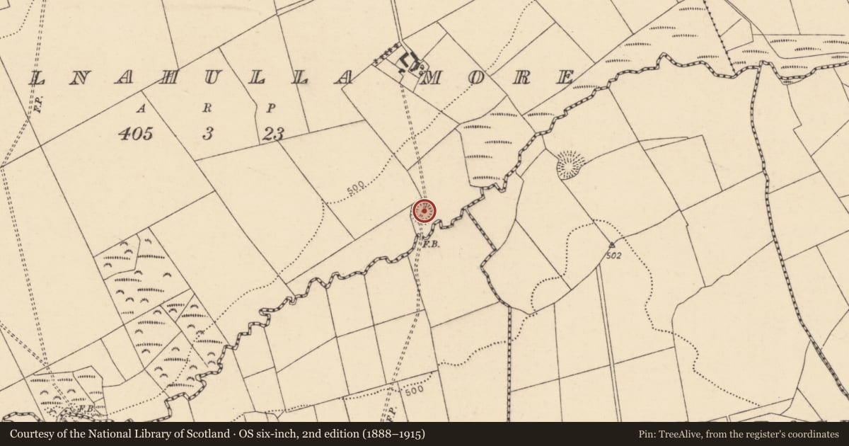 Ordnance Survey six-inch map, 2nd edition (1888–1915) covering the location of Ringfort - rath, Kilnahulla More, County Cork, with a pin at the register's coordinates
