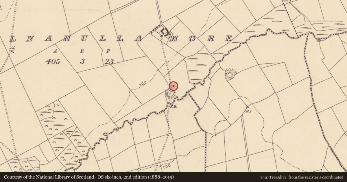 Ordnance Survey six-inch map, 2nd edition (1888–1915) covering the location of Souterrain, Kilnahulla More, County Cork, with a pin at the register's coordinates