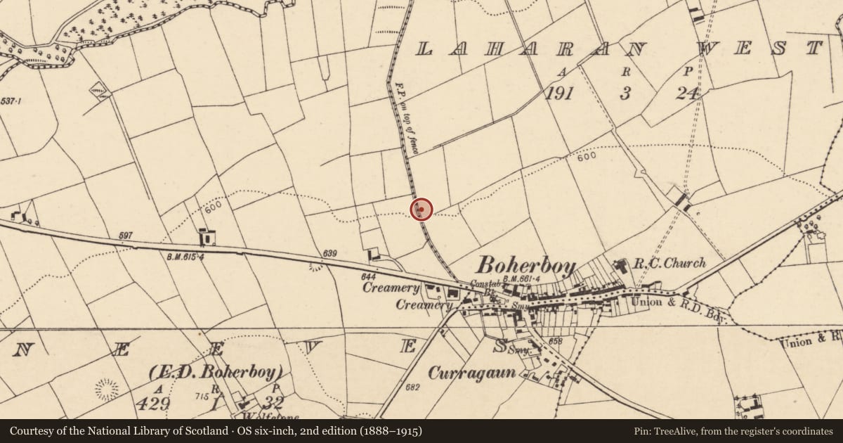 Ordnance Survey six-inch map, 2nd edition (1888–1915) covering the location of Fulacht fia, Laharan West, County Cork, with a pin at the register's coordinates