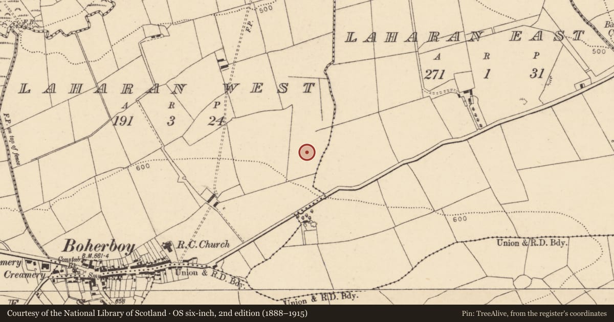 Ordnance Survey six-inch map, 2nd edition (1888–1915) covering the location of Fulacht fia, Laharan West, County Cork, with a pin at the register's coordinates