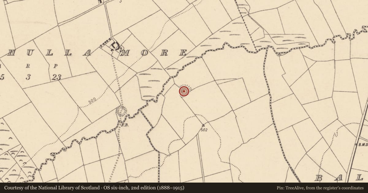 Ordnance Survey six-inch map, 2nd edition (1888–1915) covering the location of Ringfort - rath, Laharan East, County Cork, with a pin at the register's coordinates