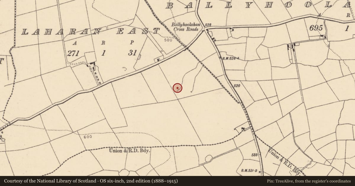 Ordnance Survey six-inch map, 2nd edition (1888–1915) covering the location of Fulacht fia, Laharan East, County Cork, with a pin at the register's coordinates
