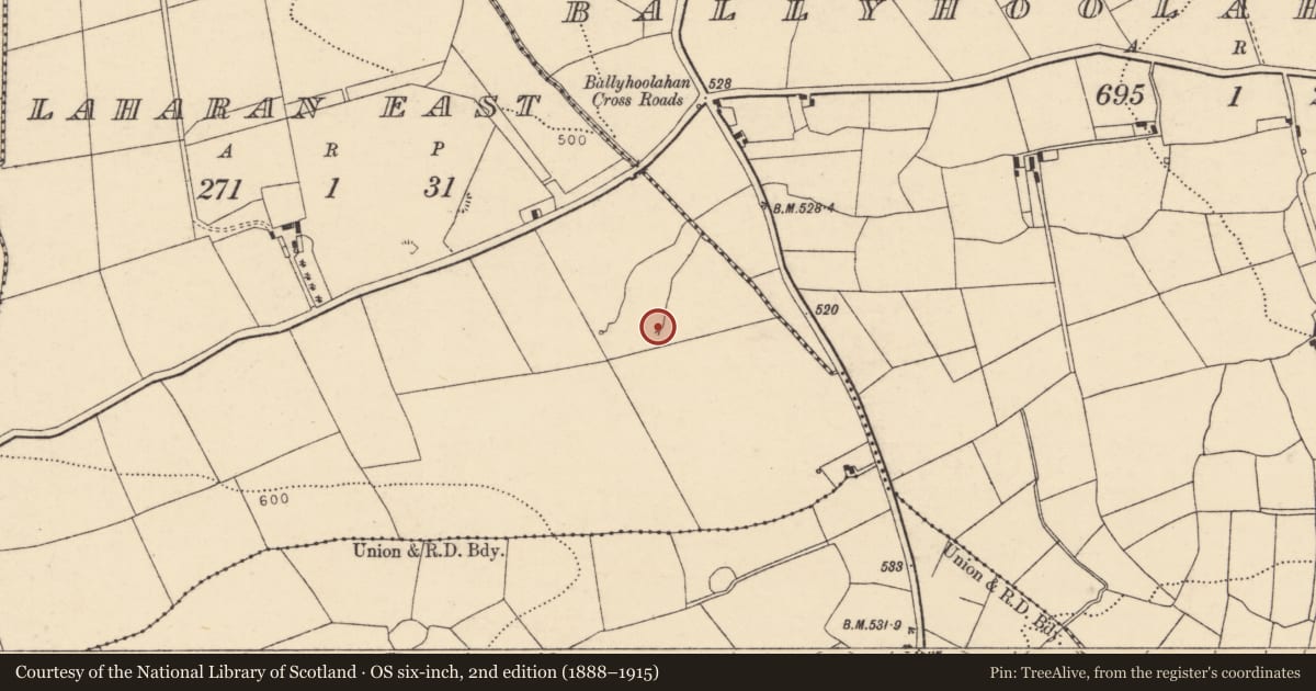 Ordnance Survey six-inch map, 2nd edition (1888–1915) covering the location of Fulacht fia, Laharan East, County Cork, with a pin at the register's coordinates