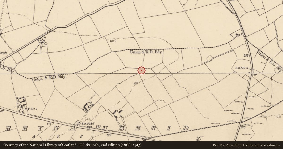 Ordnance Survey six-inch map, 2nd edition (1888–1915) covering the location of Ringfort - rath, Derrynatubbrid, County Cork, with a pin at the register's coordinates