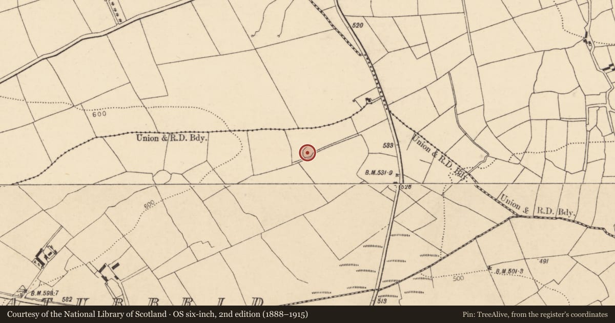 Ordnance Survey six-inch map, 2nd edition (1888–1915) covering the location of Ringfort - rath, Derrynatubbrid, County Cork, with a pin at the register's coordinates