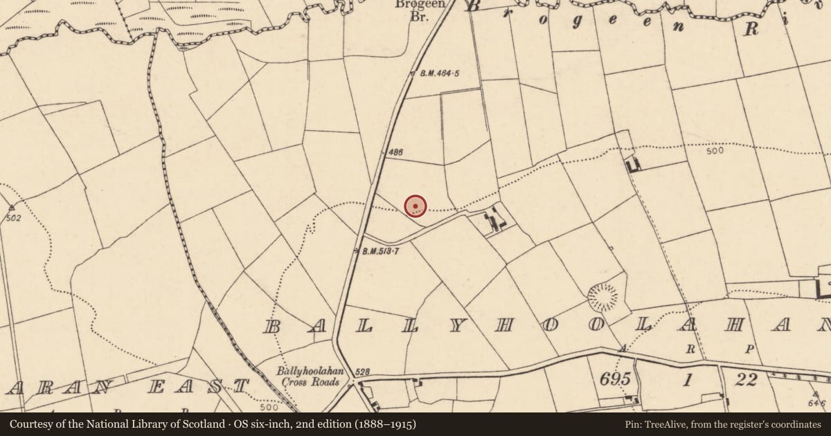 Ordnance Survey six-inch map, 2nd edition (1888–1915) covering the location of Fulacht fia, Ballyhoolahan West, County Cork, with a pin at the register's coordinates
