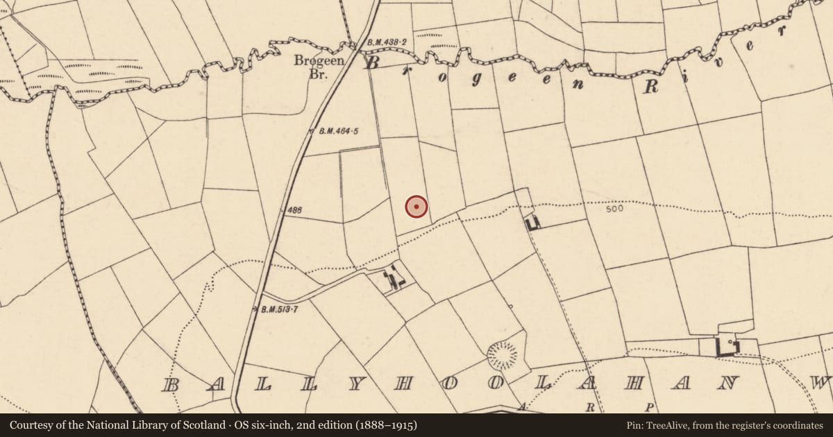 Ordnance Survey six-inch map, 2nd edition (1888–1915) covering the location of Fulacht fia, Ballyhoolahan West, County Cork, with a pin at the register's coordinates
