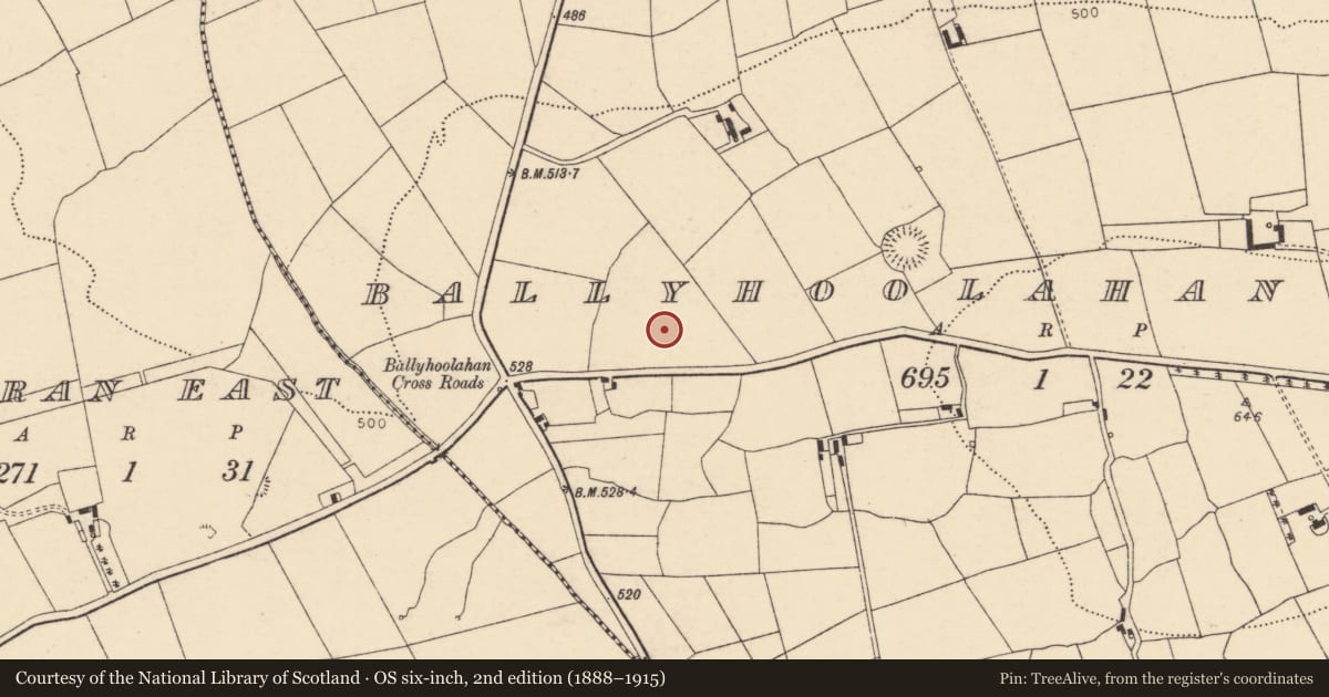Ordnance Survey six-inch map, 2nd edition (1888–1915) covering the location of Ringfort - rath, Ballyhoolahan West, County Cork, with a pin at the register's coordinates