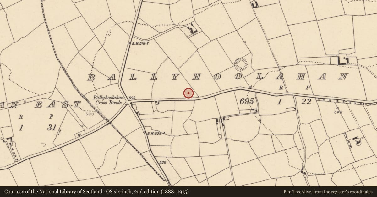 Ordnance Survey six-inch map, 2nd edition (1888–1915) covering the location of Settlement cluster, Ballyhoolahan West, County Cork, with a pin at the register's coordinates