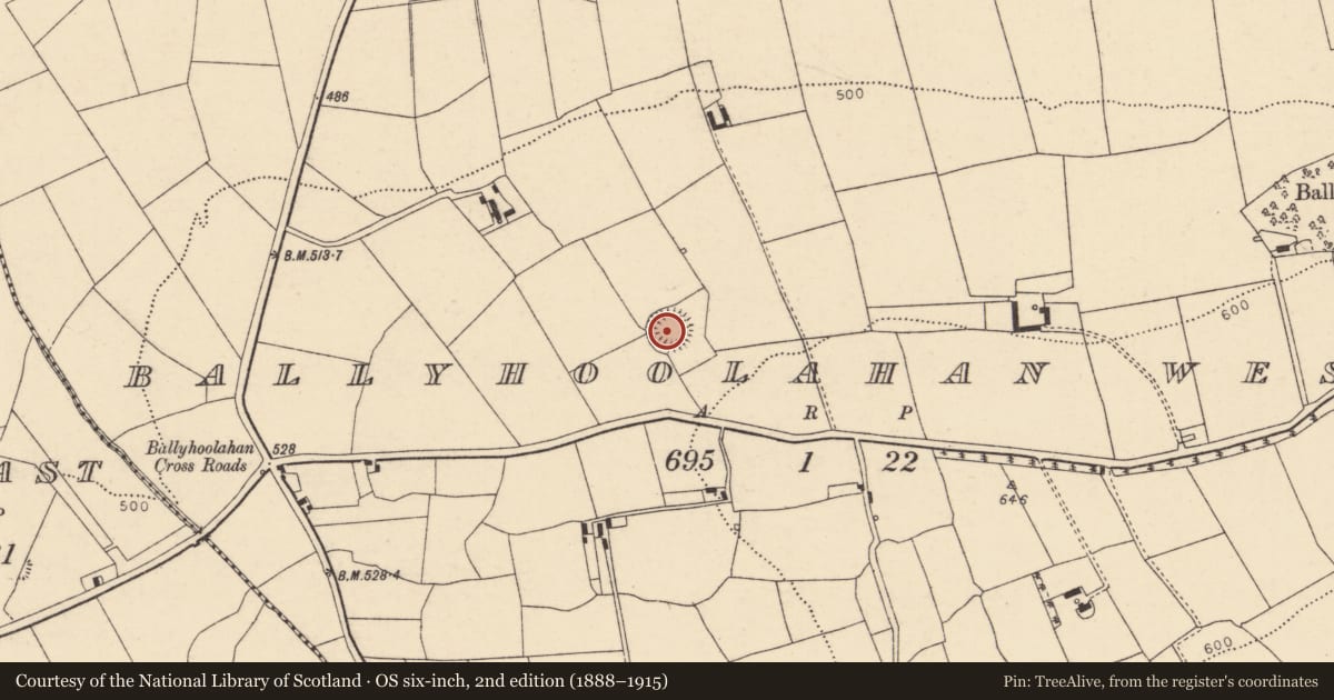 Ordnance Survey six-inch map, 2nd edition (1888–1915) covering the location of Ringfort - rath, Ballyhoolahan West, County Cork, with a pin at the register's coordinates