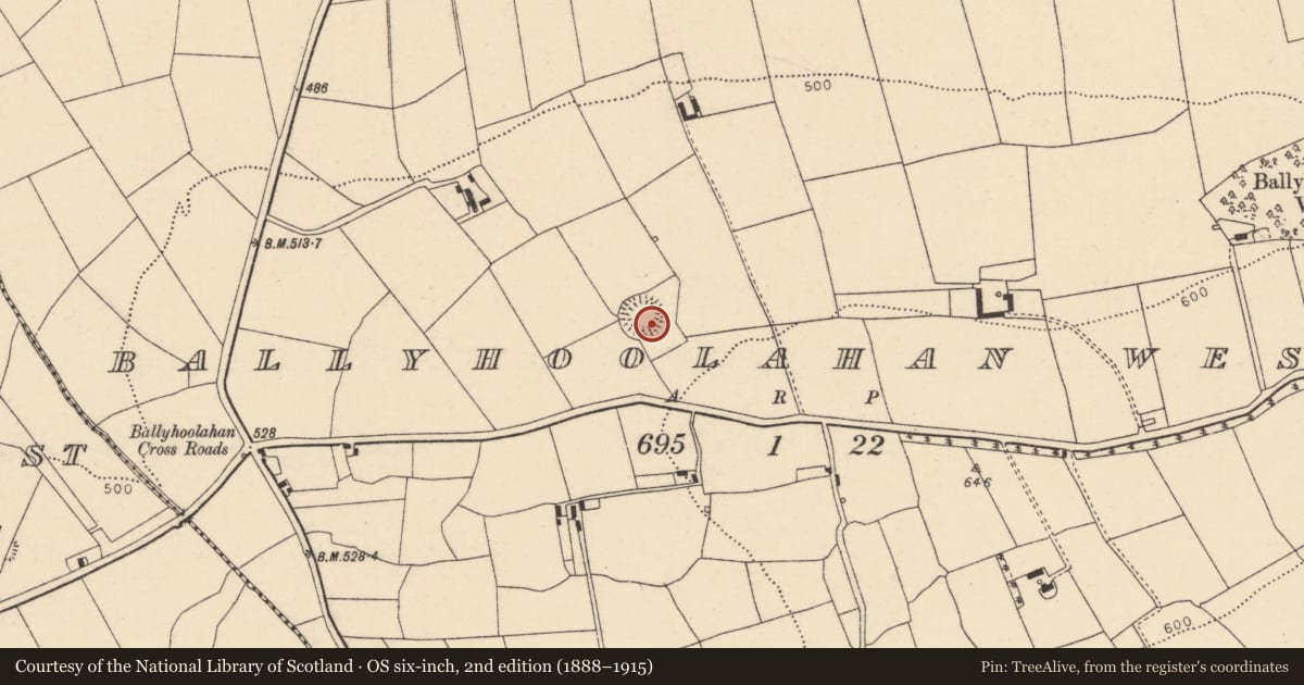 Ordnance Survey six-inch map, 2nd edition (1888–1915) covering the location of Souterrain, Ballyhoolahan West, County Cork, with a pin at the register's coordinates