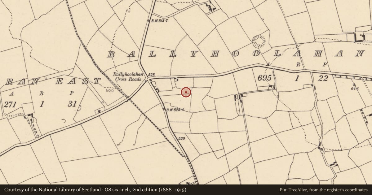 Ordnance Survey six-inch map, 2nd edition (1888–1915) covering the location of Ringfort - rath, Ballyhoolahan West, County Cork, with a pin at the register's coordinates