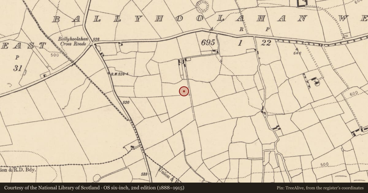 Ordnance Survey six-inch map, 2nd edition (1888–1915) covering the location of Fulacht fia, Ballyhoolahan West, County Cork, with a pin at the register's coordinates