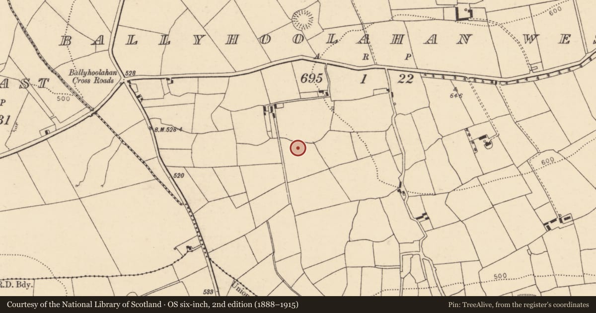 Ordnance Survey six-inch map, 2nd edition (1888–1915) covering the location of Fulacht fia, Ballyhoolahan West, County Cork, with a pin at the register's coordinates