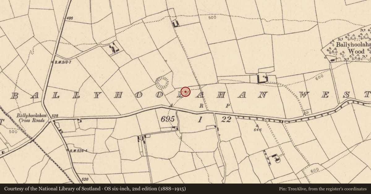 Ordnance Survey six-inch map, 2nd edition (1888–1915) covering the location of Ringfort - rath, Ballyhoolahan West, County Cork, with a pin at the register's coordinates