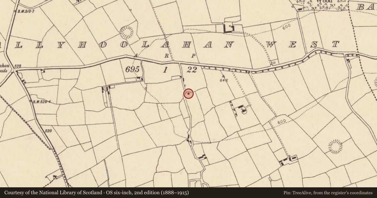 Ordnance Survey six-inch map, 2nd edition (1888–1915) covering the location of Ringfort - rath, Ballyhoolahan West, County Cork, with a pin at the register's coordinates