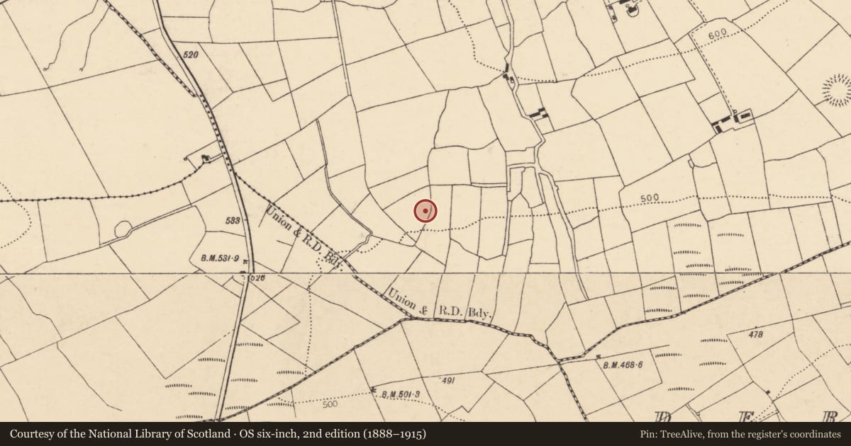 Ordnance Survey six-inch map, 2nd edition (1888–1915) covering the location of Fulacht fia, Ballyhoolahan West, County Cork, with a pin at the register's coordinates