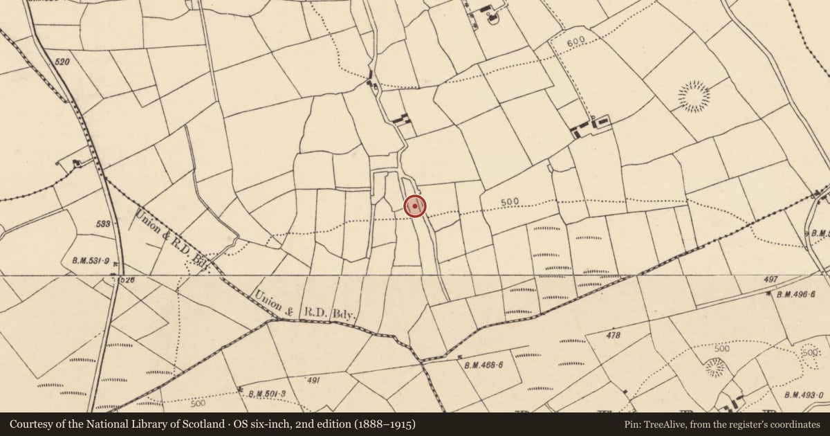 Ordnance Survey six-inch map, 2nd edition (1888–1915) covering the location of Fulacht fia, Ballyhoolahan West, County Cork, with a pin at the register's coordinates