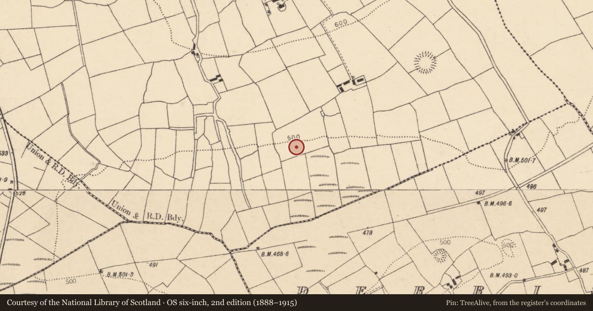 Ordnance Survey six-inch map, 2nd edition (1888–1915) covering the location of Fulacht fia, Ballyhoolahan West, County Cork, with a pin at the register's coordinates